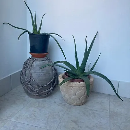 Oasis Family Apartment Deltebre